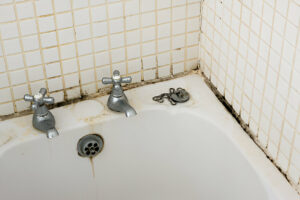 Molds-Reeves Remodeling