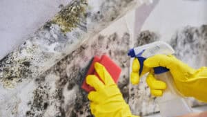 Mold and Mildew Develop Beneath a Bathroom Floor