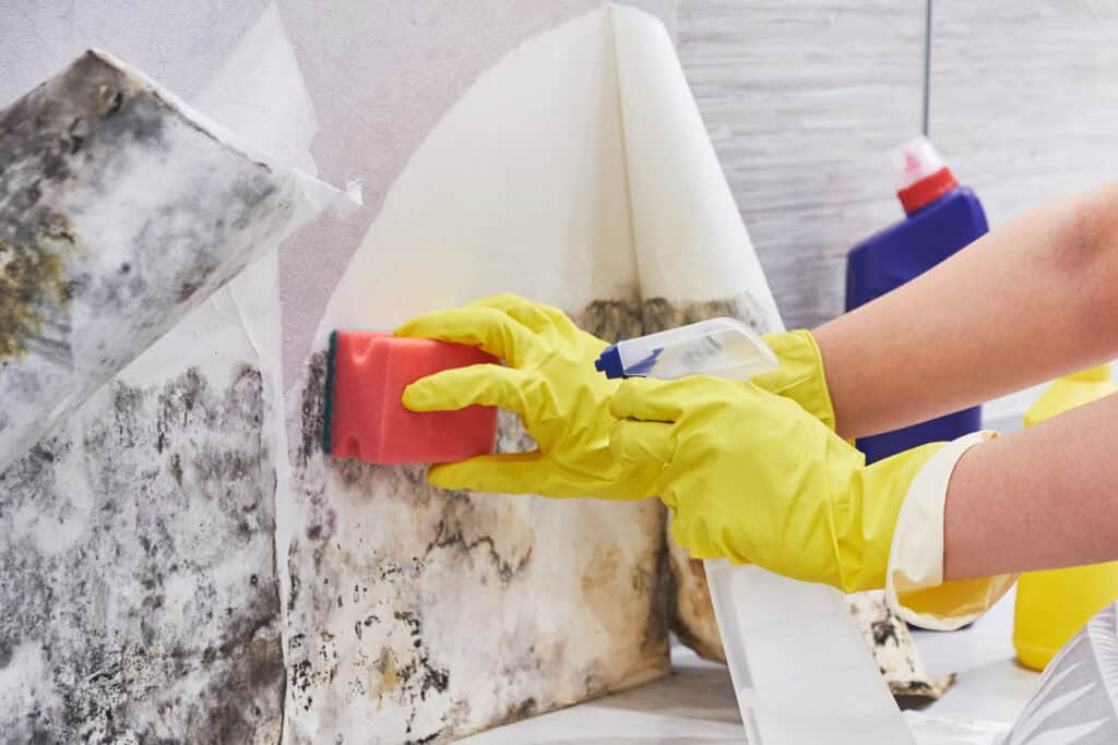 Prevent Mold and Mildew Under Bathroom Flooring