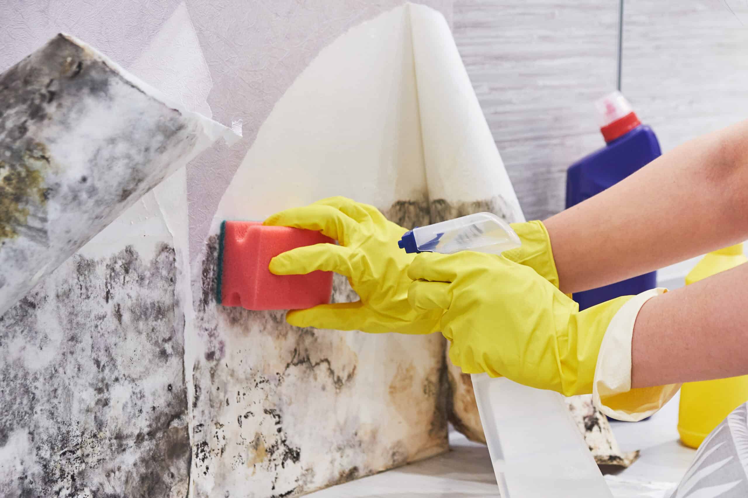 Prevent Mold and Mildew Under Bathroom Flooring